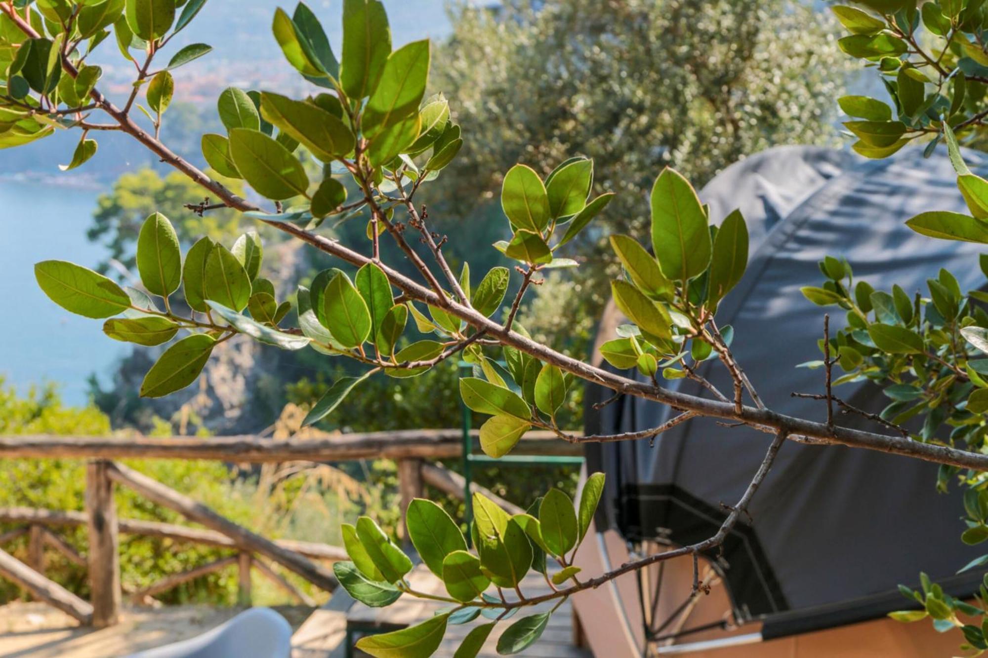 Hostel & Glamping Santa Fortunata Sorrento Kültér fotó
